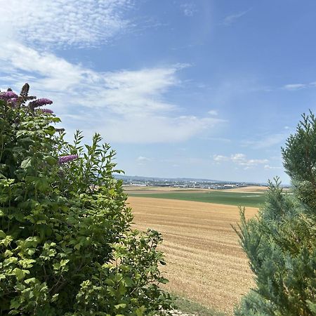 Le Charme Villa Cernay-les-Reims Bagian luar foto